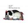 Border Colie Mini Petzzz