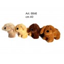 Peluche Bassotto Morbidoso cm.40 pz.1