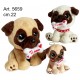 Peluche Cane c/Osso cm.22 pz.1