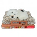 Pel. Perfect Petzzz Minis c/Verso Dalmata cm.13 conf. pz.1
