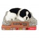 Pel. Perfect Petzzz Minis c/Verso cm.13 conf. pz.1