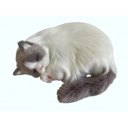 Perfect Petzzz Gatto Ragdoll
