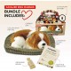 Calier King Charles