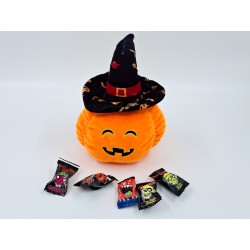 pel. Zucca confezionabile cm.18 con zip conf. pz.1