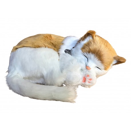 Perfect Petzzz Gatto Soriano