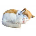 Perfect Petzzz Gatto Soriano