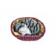 Gatto in Cuccia che Russa