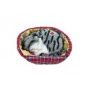 Gray Tabby kitten in kennel 13cm, with noise (snoring) pack of 1