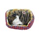 Gatto in Cuccia che Russa