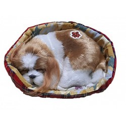 Cagnolino Cavalier King Charles in cuccia cm.13, con rumore (Russa) conf. pz.1