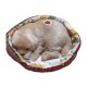 Cagnolino Golden Retriever in cuccia cm.13, con rumore (Russa) conf. pz.1