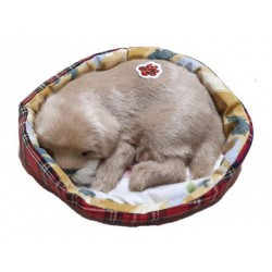 Cagnolino Golden Retriever in cuccia cm.13, con rumore (Russa) conf. pz.1