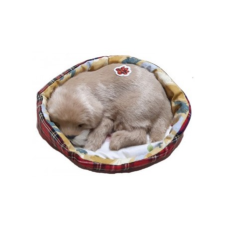 Golden Retriever in kennel 13cm, with noise (snoring) pack of 1