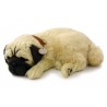 Carlino